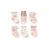 Garden Picnic Socks 0-12M Gift Set 6 Pack by Elegant Baby