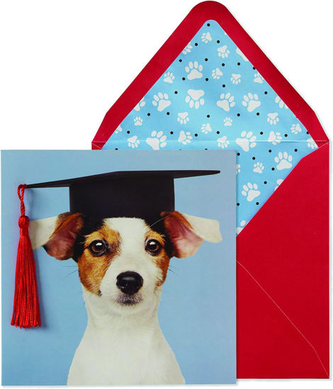 Graduation Dog Card by Niquea.D