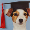Graduation Dog Card by Niquea.D