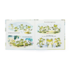 A Fantastic Day For Finnegan Frog Book by Jellycat