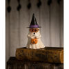 Witchy Ghost with Pumpkin by Bethany Lowe Designs