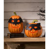 Cat Masquerade Pumpkin by Bethany Lowe Designs