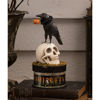 Crow and Skull on Box by Bethany Lowe Designs