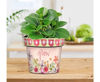 Bloom and Grow 6" Art Pot by Studio M
