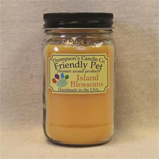 Friendly Pet- Island Blossoms Small Mason Jar Candle by Thompson's Candles Co