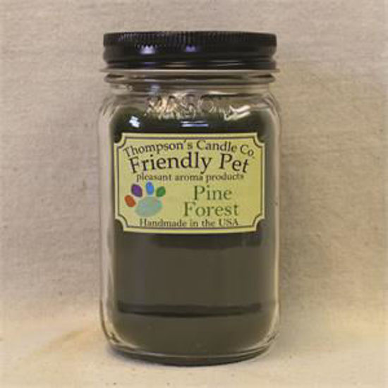 Friendly Pet- Pine Forest Small Mason Jar Candle by Thompson's Candles Co