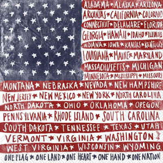 One Flag One Nation Lunch Napkins by Boston International