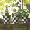 Courtly Check Enamel Herb Pots - Set of 3 by MacKenzie-Childs