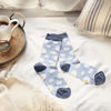 Blue Daisy Socks by Primitives by Kathy