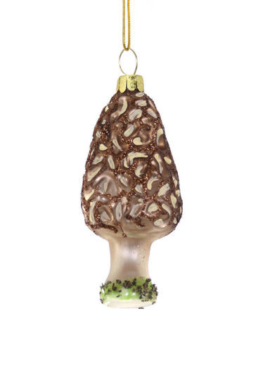 Field Morel Mushroom Ornament by Cody Foster