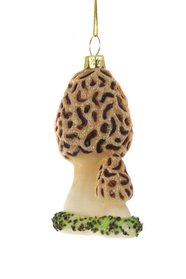 Morel Mushrooms Ornament by Cody Foster