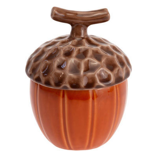 Spicy Orange Acorn Covered Jar by Boston International