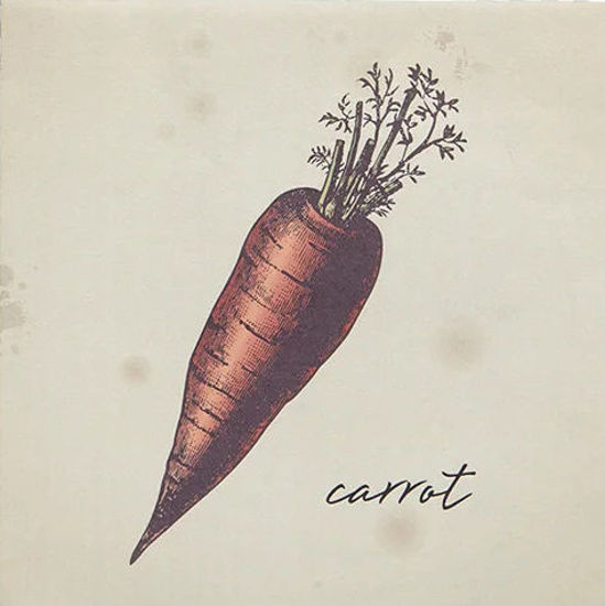 Carrot Lunch Napkin by Harman