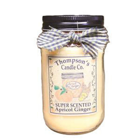 Apricot Ginger Small Mason Jar Candle by Thompson's Candles Co