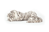 Sacha Snow Tiger (Large) by Jellycat