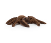 Spindleshanks Spider (Small) by Jellycat